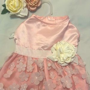 Brand New Birthday Dog dress